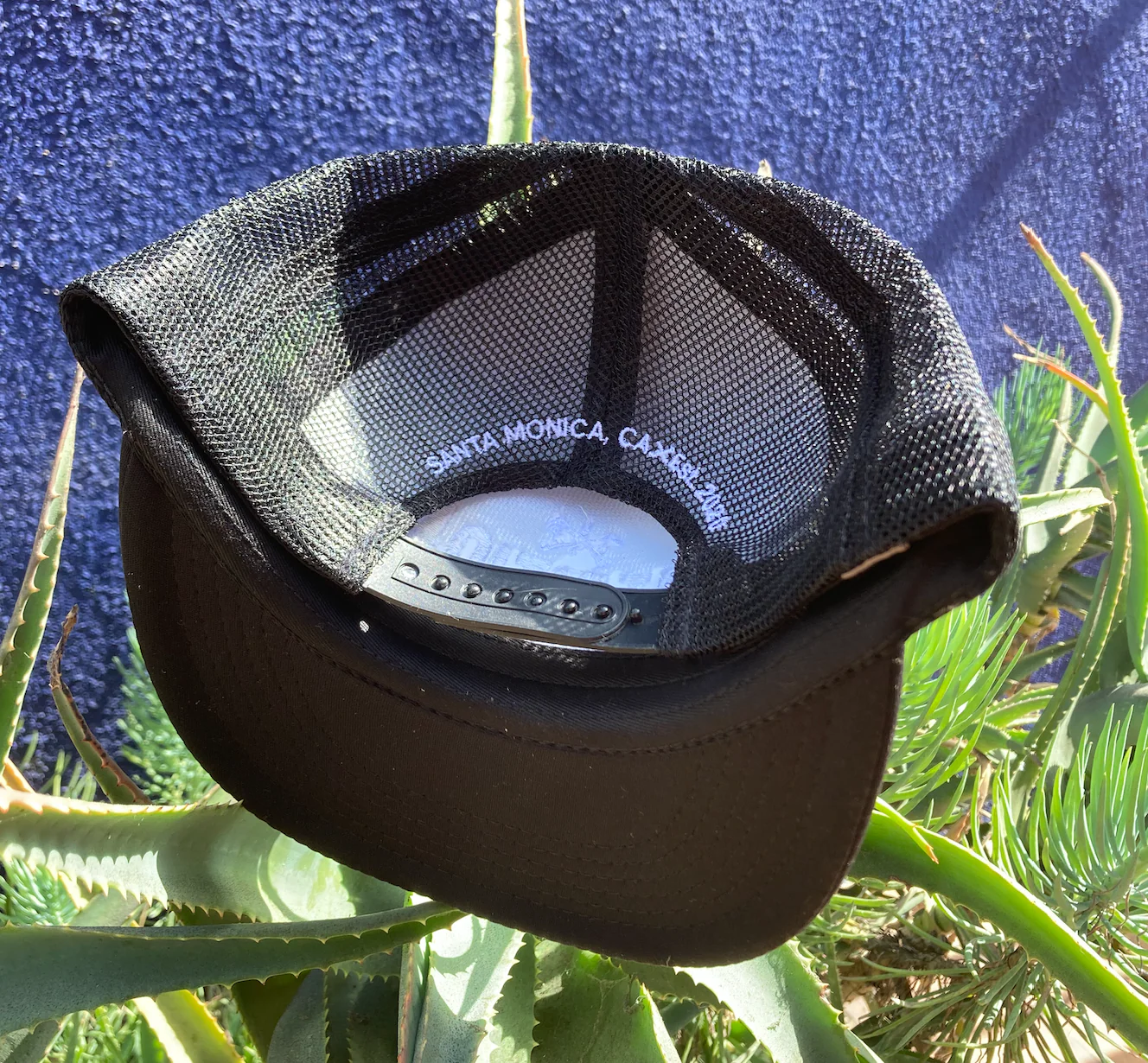 Intuition Never Fade foam front trucker hat - Image 3